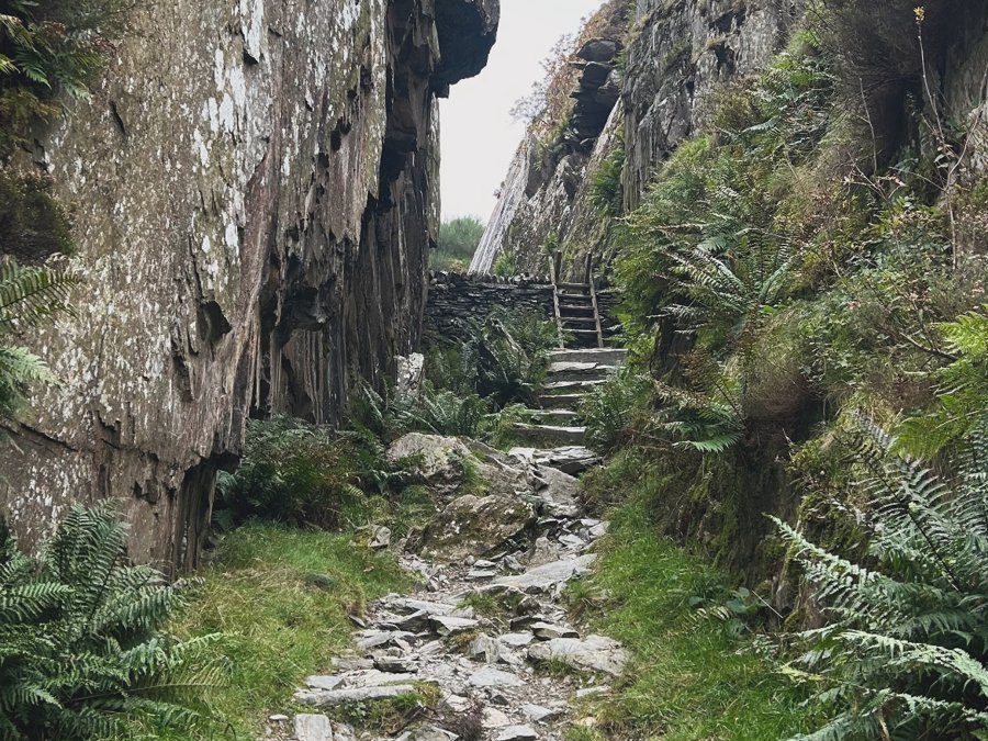 Trilha de pedras entre paredões de rocha e samambaias no Vale de Ogwen